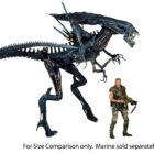 NECA ALIEN XENOMORPH QUEEN ULTRA DELUXE BOXED ACTION FIGURE