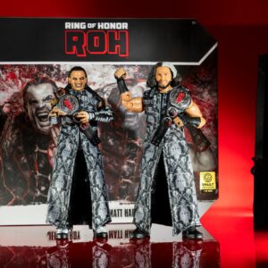Ring of Honor Hardy Boyz 2-Pack Wrestling Figures - FREE UK SHIPPING  *Stock Due Mid March*